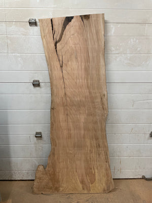 BLM-03 Big Leaf Maple Live Edge Slab