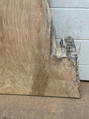 BLM-03 Big Leaf Maple Live Edge Slab