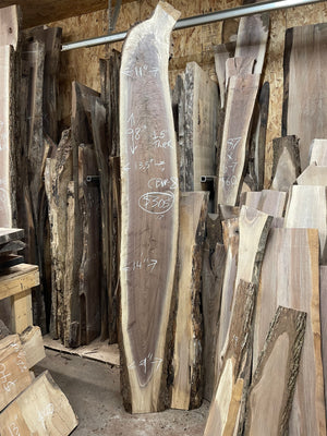 CBW-8 Curly Black Walnut Live Edge Slab