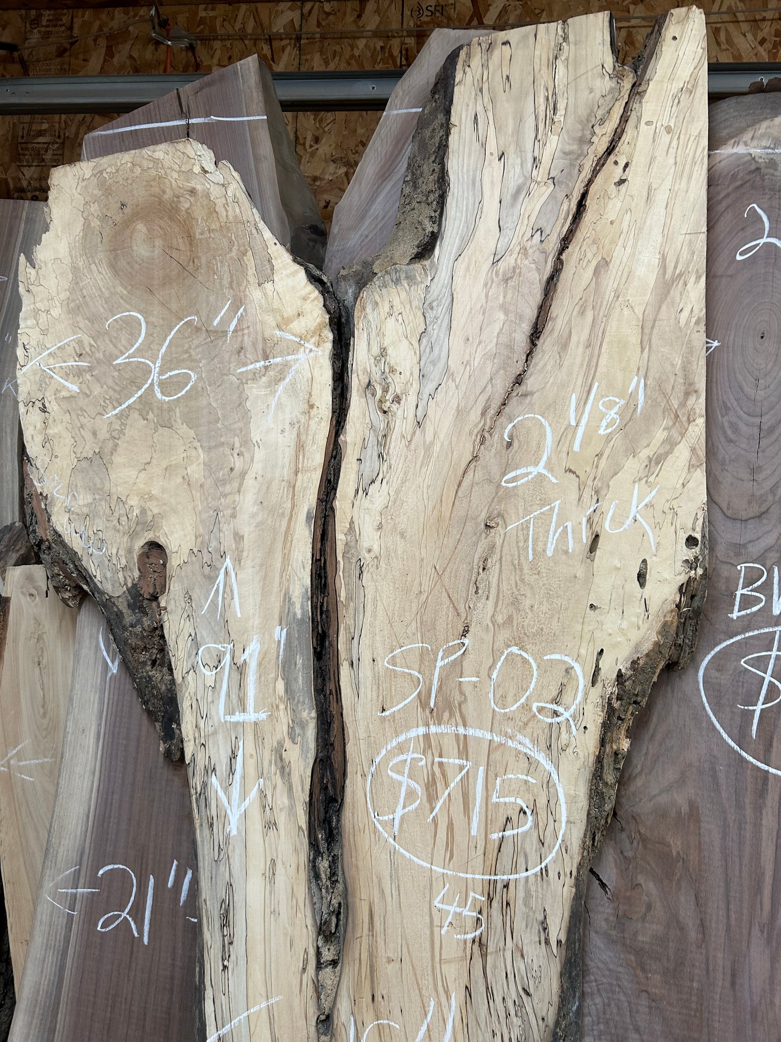 SP-02 Curly Maple Live Edge Slab