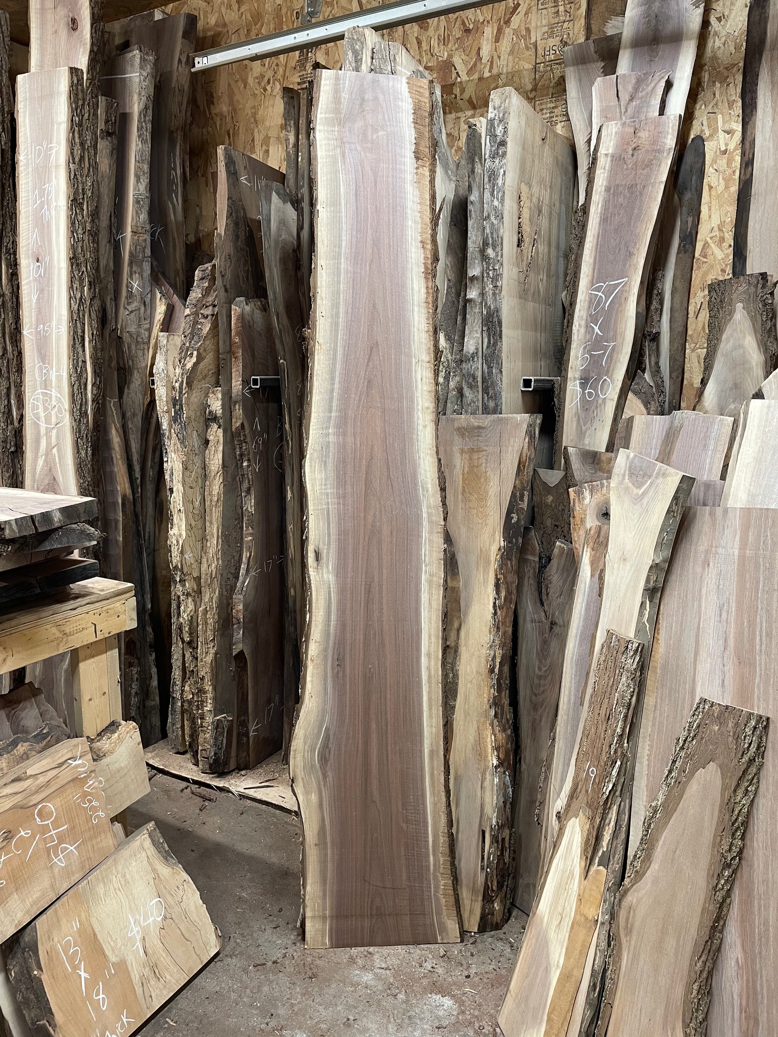 CBW-5 Curly Black Walnut Live Edge Slab