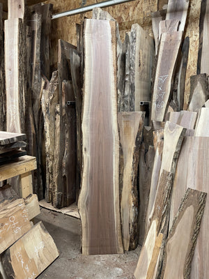 CBW-5 Curly Black Walnut Live Edge Slab