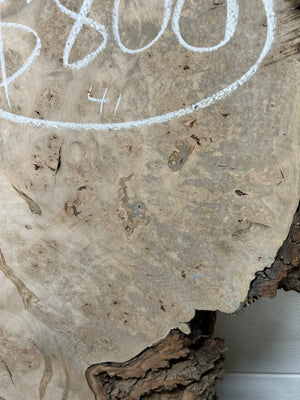 MB-01 Maple Burl Slab
