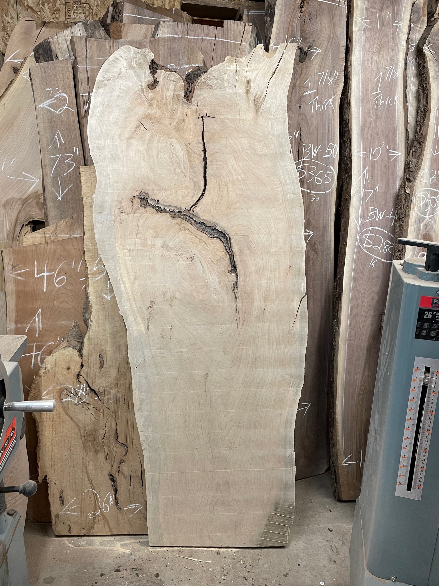 M-01 Maple Live Edge Slab