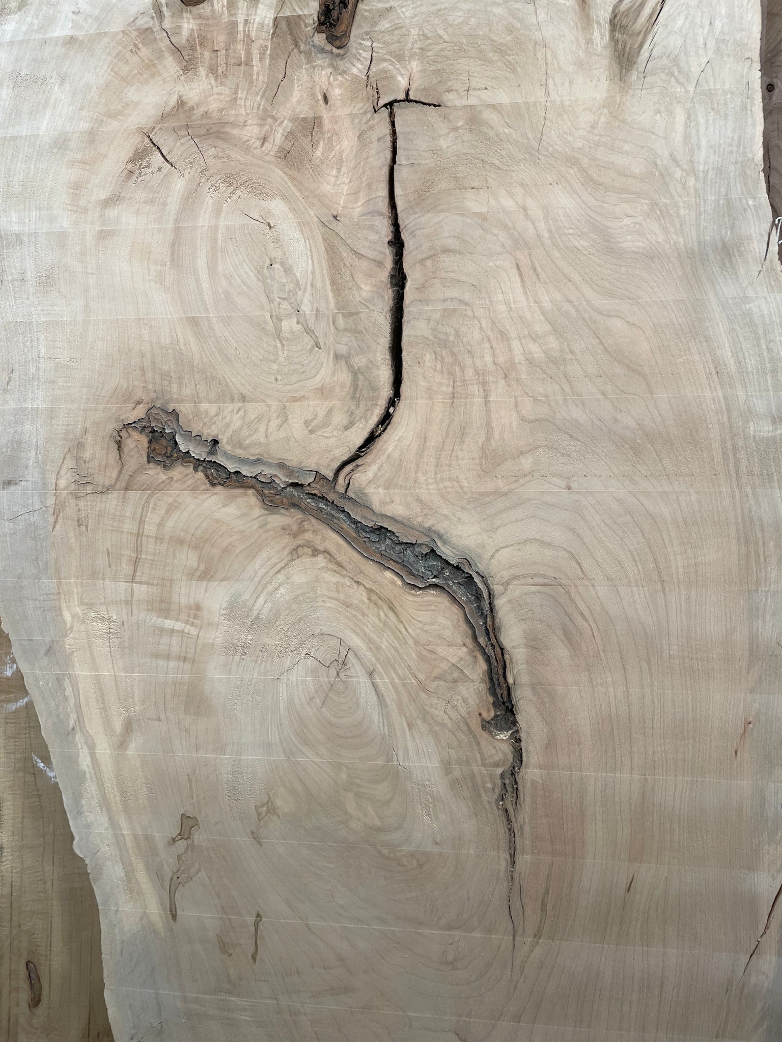 M-01 Maple Live Edge Slab