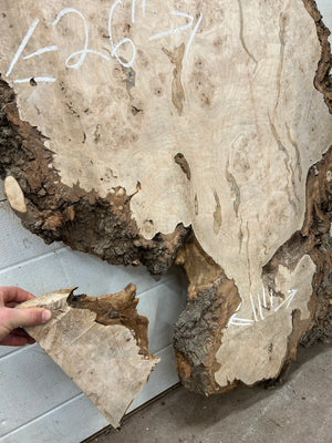 MB-01 Maple Burl Slab
