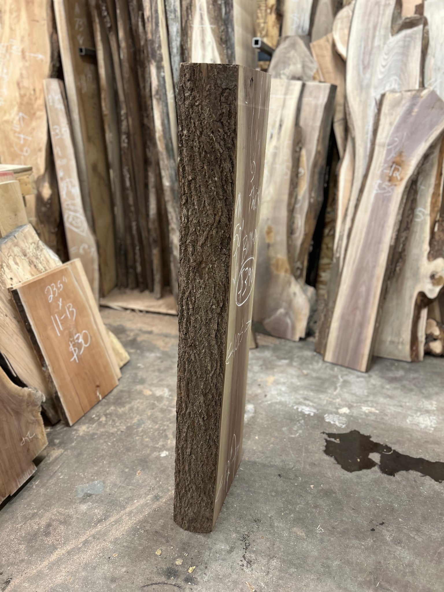 BWM-04 Black Walnut Mantel Slab Live Edge