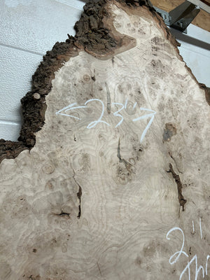 MB-01 Maple Burl Slab