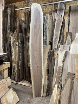 CBW-8 Curly Black Walnut Live Edge Slab