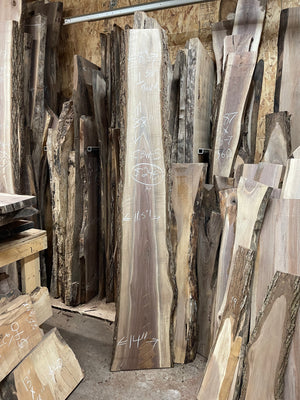 CBW-5 Curly Black Walnut Live Edge Slab