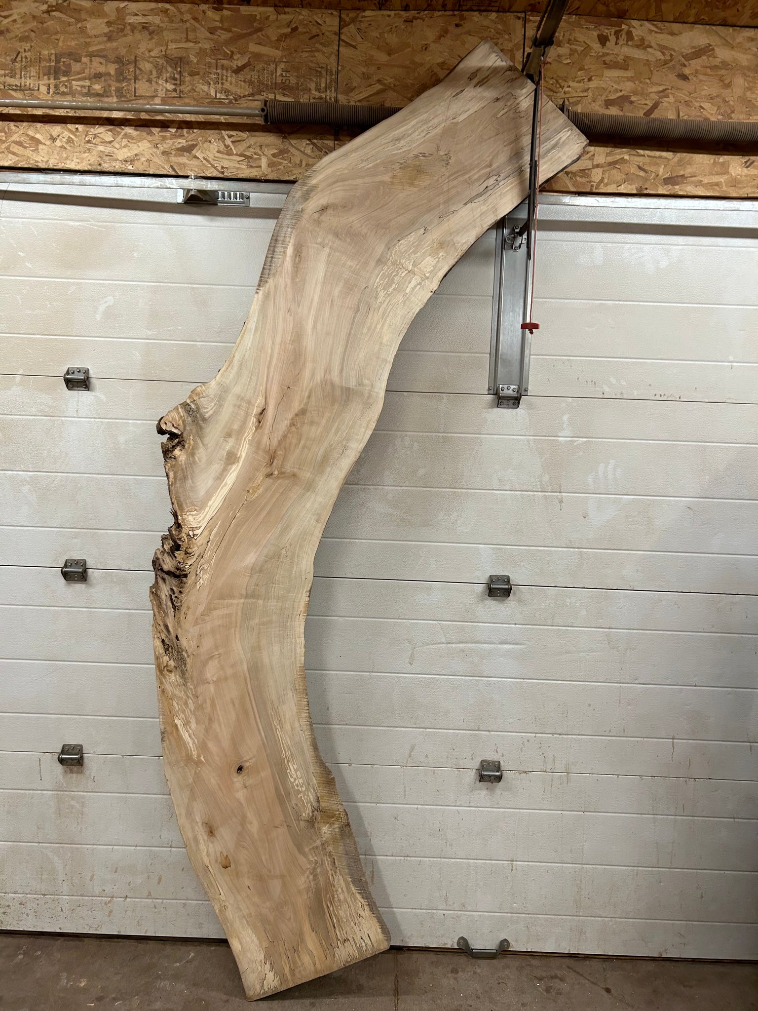 SP-14 Spalted Maple Live Edge Slab
