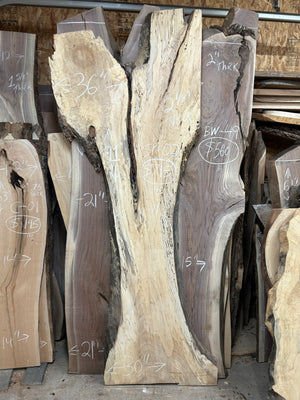 SP-02 Curly Maple Live Edge Slab