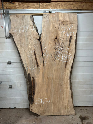 M-03 Huge Maple Live Edge Slab