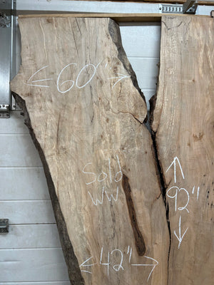 M-03 Huge Maple Live Edge Slab