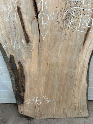 M-03 Huge Maple Live Edge Slab