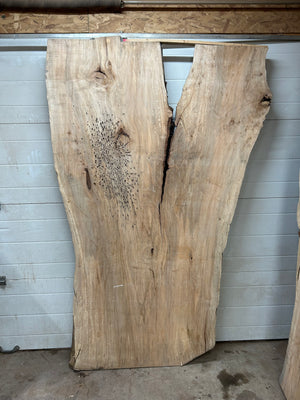 M-03 Huge Maple Live Edge Slab