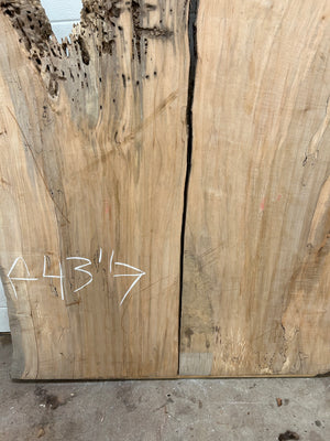 M-05 Huge Maple Live Edge Slab