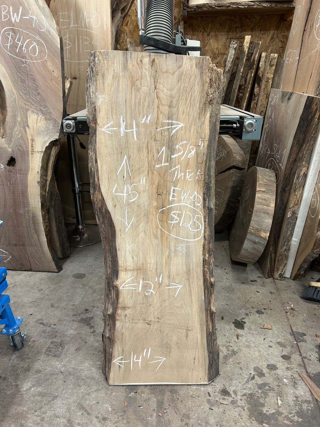 EW-02 English Walnut Live Edge Slab