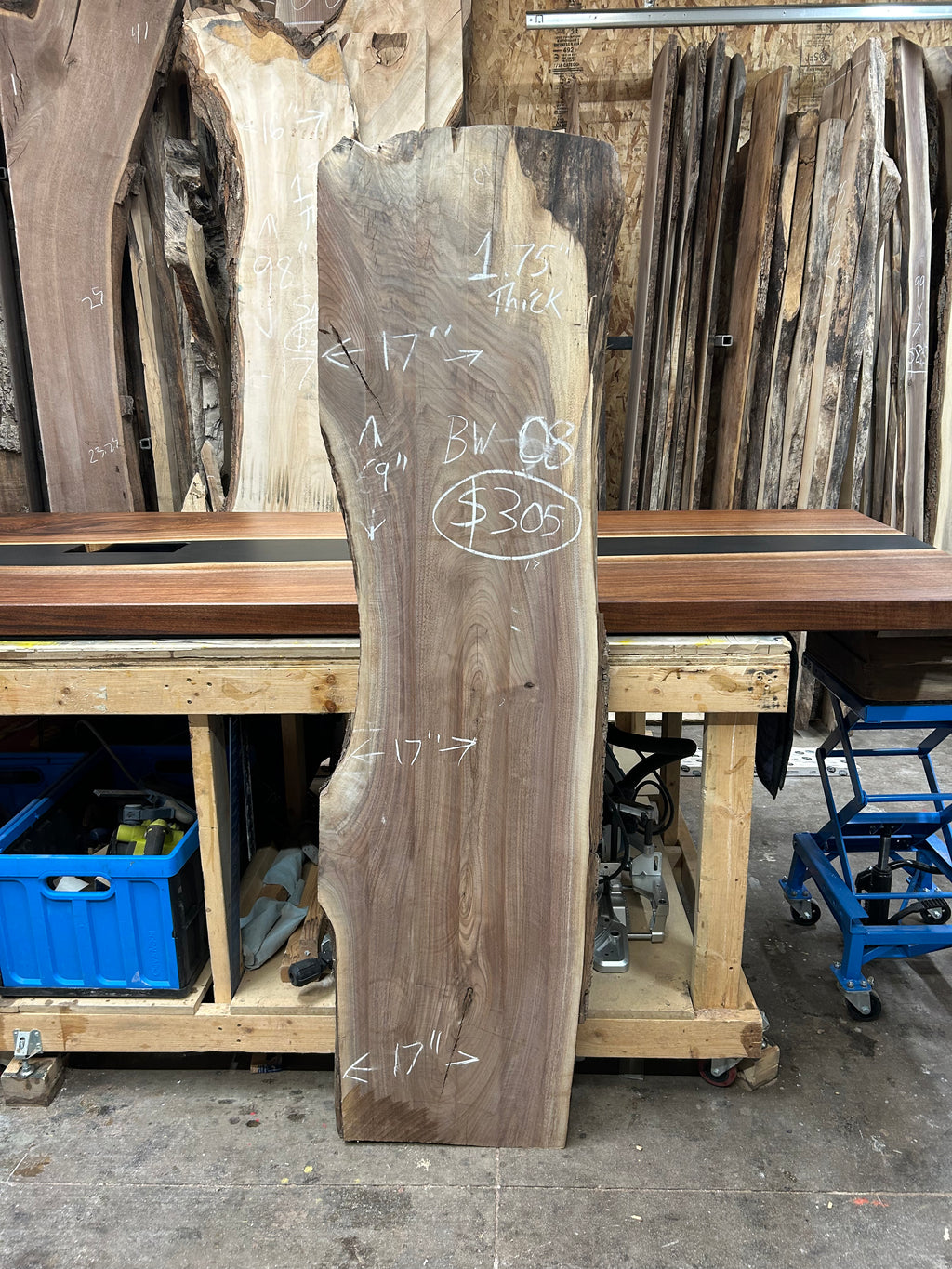 BW-08 Black Walnut Live Edge Slab