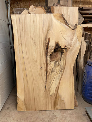 Elm-01 Huge Elm Live Edge Slab