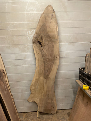 EW-07 English Walnut Live Edge Slab