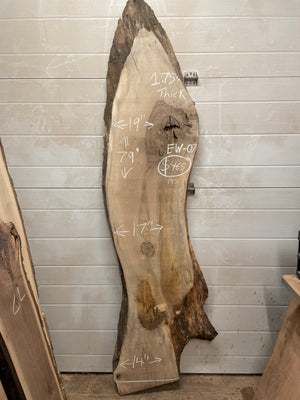 EW-07 English Walnut Live Edge Slab