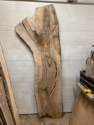 EW-04 English Walnut Live Edge Slab