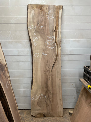 EW-09 English Walnut Live Edge Slab
