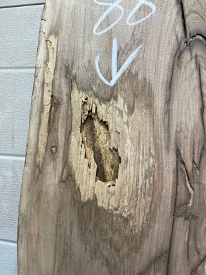 EW-04 English Walnut Live Edge Slab