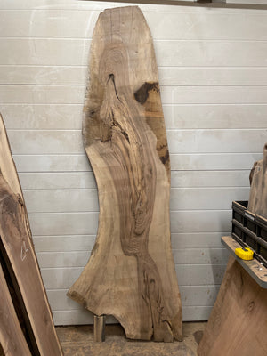 EW-06 English Walnut Live Edge Slab