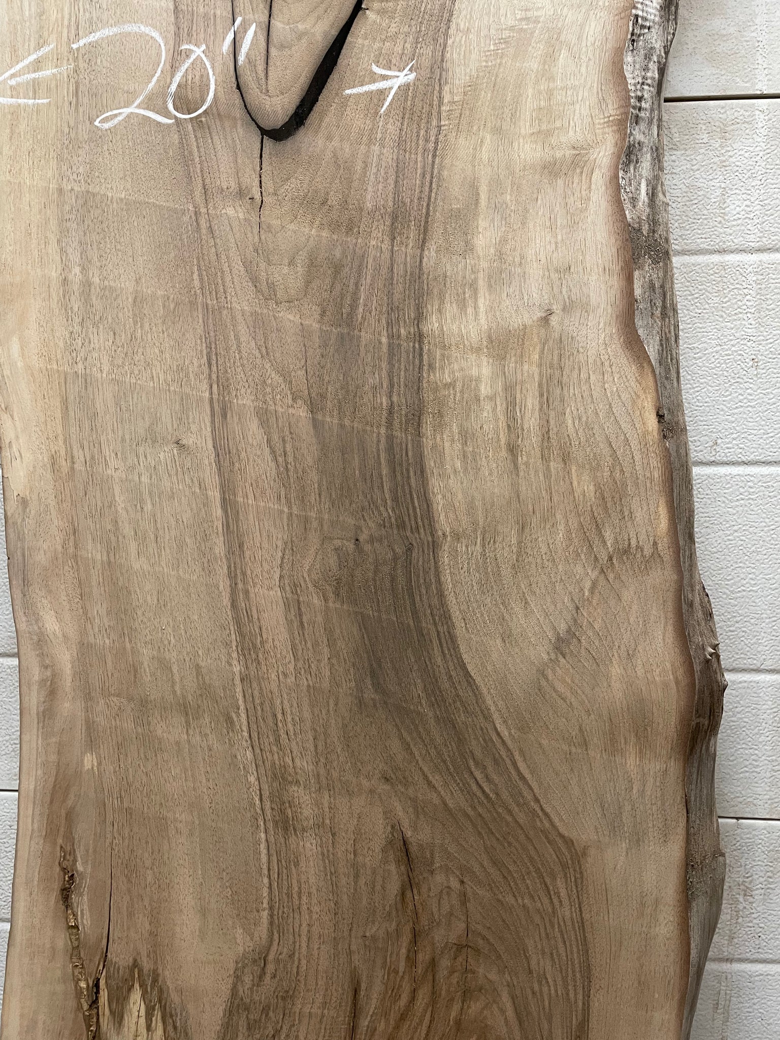 EW-04 English Walnut Live Edge Slab