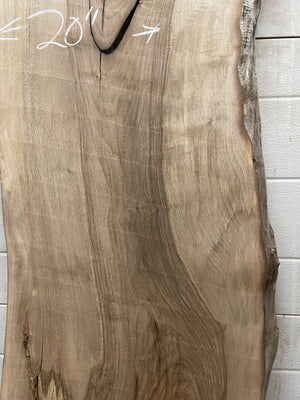 EW-04 English Walnut Live Edge Slab